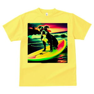 AJsbgueA TVc  j[NfUCfB[X t@  t vg lJWA 킢 lԗp Mtg I ҏ΍ T[tB AJsbg