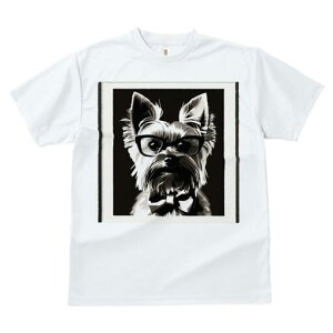 [NV[eA TVc  j[NfUCY LbY t@  t vg lJWA 킢 lԗp Mtg I ҏ΍ Kl [NV[eA lN