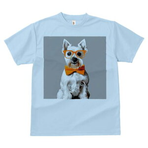 EGXgnChzCgeA TVc  j[NfUCfB[X t@  t vg lJWA 킢 lԗp Mtg I ҏ΍ Kl EGXgnC