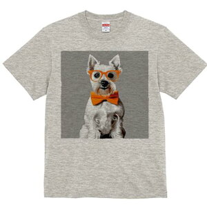 EGXgnChzCgeA TVc  j[NfUCfB[X t@  t vg lJWA 킢 lԗp Mtg I ҏ΍ Kl EGXgnC