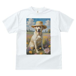 uh[go[ TVc  j[NfUCfB[X t@  t vg lJWA 킢 lԗp Mtg I ҏ΍ Xq uh[go[  