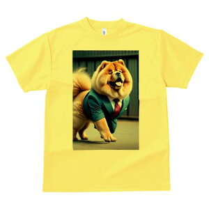 `E`E TVc  j[NfUCfB[X t@  t vg lJWA 킢 lԗp Mtg I ҏ΍ X[c `E`E lN^C