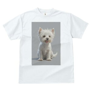 EGXgnChzCgeA TVc  j[NfUCfB[X t@  t vg lJWA 킢 lԗp Mtg I ҏ΍ EGXgnChz