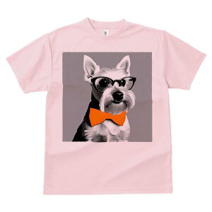 ~j`AViEU[ TVc  j[NfUCY LbY t@  t vg lJWA 킢 lԗp Mtg I ҏ΍ Kl ~j`AViEU