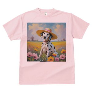 _VA TVc  j[NfUCfB[X t@  t vg lJWA 킢 lԗp Mtg I ҏ΍ Xq _VA   