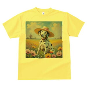 _VA TVc  j[NfUCfB[X t@  t vg lJWA 킢 lԗp Mtg I ҏ΍ Xq _VA   