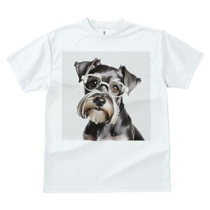 ~j`AViEU[ TVc  j[NfUCfB[X t@  t vg lJWA 킢 lԗp Mtg I ҏ΍ Kl ~j`AViEU[