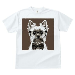 [NV[eA TVc  j[NfUCfB[X t@  t vg lJWA 킢 lԗp Mtg I ҏ΍ Kl [NV[eA lN^