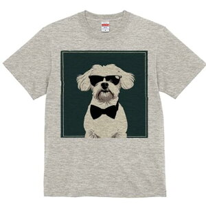 }`[Y TVc  j[NfUCfB[X t@  t vg lJWA 킢 lԗp Mtg I ҏ΍ TOX }`[Y lN^C