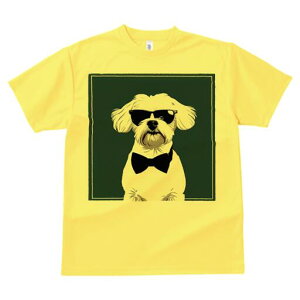 }`[Y TVc  j[NfUCfB[X t@  t vg lJWA 킢 lԗp Mtg I ҏ΍ TOX }`[Y lN^C