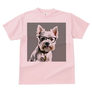 EGXgnChzCgeA TVc  j[NfUCfB[X t@  t vg lJWA 킢 lԗp Mtg I ҏ΍ Kl EGXgnC