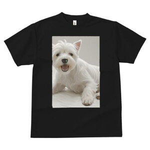 EGXgnChzCgeA TVc  j[NfUCY LbY t@  t vg lJWA 킢 lԗp Mtg I ҏ΍ EGXgnCh