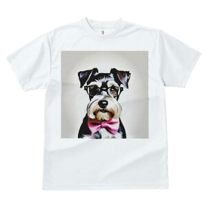 ~j`AViEU[ TVc  j[NfUCY LbY t@  t vg lJWA 킢 lԗp Mtg I ҏ΍ Kl ~j`AViEU