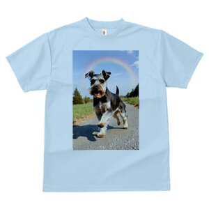 ~j`AViEU[ TVc  j[NfUCfB[X t@  t vg lJWA 킢 lԗp Mtg I ҏ΍  ~j`AViEU[   