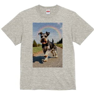 ~j`AViEU[ TVc  j[NfUCfB[X t@  t vg lJWA 킢 lԗp Mtg I ҏ΍  ~j`AViEU[   