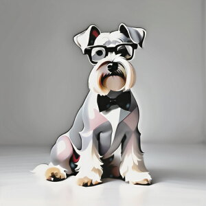 Kl ~j`AViEU[ lN^C NbVJo[ 45×45cm Aj}   NbV{̕t `