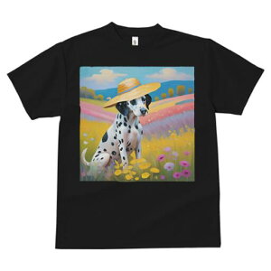 _VA TVc  j[NfUCfB[X t@  t vg lJWA 킢 lԗp Mtg I ҏ΍ Xq _VA 