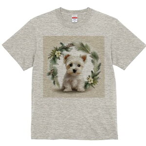 EGXgnChzCgeA TVc  j[NfUCfB[X t@  t vg lJWA 킢 lԗp Mtg I ҏ΍ ԗ EGXgnC