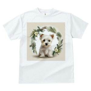 EGXgnChzCgeA TVc  j[NfUCfB[X t@  t vg lJWA 킢 lԗp Mtg I ҏ΍ ԗ EGXgnC