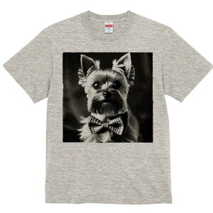 [NV[eA TVc  j[NfUCfB[X t@  t vg lJWA 킢 lԗp Mtg I ҏ΍ lN^C [NV[eA