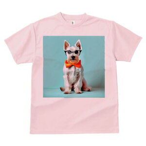 EGXgnChzCgeA TVc  j[NfUCfB[X t@  t vg lJWA 킢 lԗp Mtg I ҏ΍ Kl EGXgnC