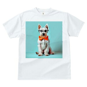 EGXgnChzCgeA TVc  j[NfUCY LbY t@  t vg lJWA 킢 lԗp Mtg I ҏ΍ Kl EGXgn