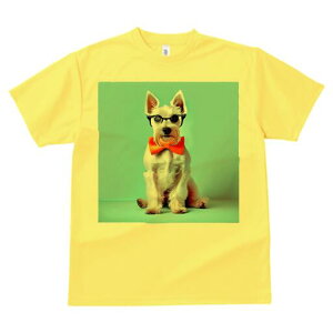 EGXgnChzCgeA TVc  j[NfUCfB[X t@  t vg lJWA 킢 lԗp Mtg I ҏ΍ Kl EGXgnC