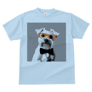 ~j`AViEU[ TVc  j[NfUCfB[X t@  t vg lJWA 킢 lԗp Mtg I ҏ΍ Kl ~j`AViEU[ 