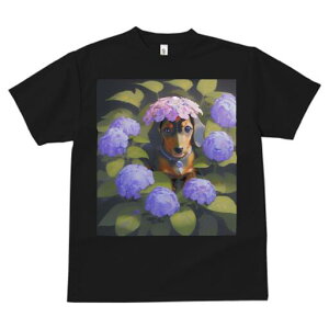 _bNXth TVc  j[NfUCfB[X t@  t vg lJWA 킢 lԗp Mtg I ҏ΍ AWTC _bNXth  A t