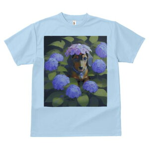 _bNXth TVc  j[NfUCY LbY t@  t vg lJWA 킢 lԗp Mtg I ҏ΍ AWTC _bNXth  A t