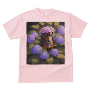 _bNXth TVc  j[NfUCfB[X t@  t vg lJWA 킢 lԗp Mtg I ҏ΍ AWTC _bNXth  A t