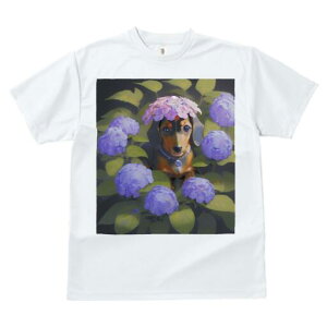 _bNXth TVc  j[NfUCY LbY t@  t vg lJWA 킢 lԗp Mtg I ҏ΍ AWTC _bNXth  A t