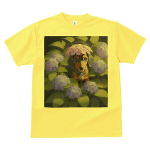 _bNXth TVc  j[NfUCY LbY t@  t vg lJWA 킢 lԗp Mtg I ҏ΍ AWTC _bNXth  A t