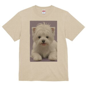 EGXgnChzCgeA TVc  j[NfUCfB[X t@  t vg lJWA 킢 lԗp Mtg I ҏ΍ EGXgnChz