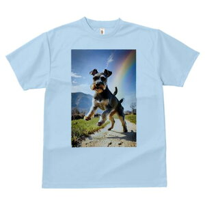 ~j`AViEU[ TVc  j[NfUCfB[X t@  t vg lJWA 킢 lԗp Mtg I ҏ΍  ~j`AViEU[  