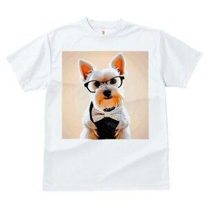 EGXgnChzCgeA TVc  j[NfUCfB[X t@  t vg lJWA 킢 lԗp Mtg I ҏ΍ Kl EGXgnC