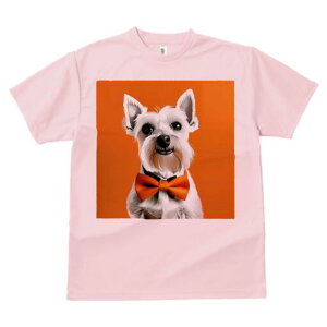 ~j`AViEU[ TVc  j[NfUCfB[X t@  t vg lJWA 킢 lԗp Mtg I ҏ΍ lN^C ~j`AViEU