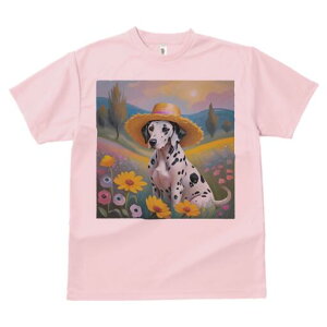 _VA TVc  j[NfUCfB[X t@  t vg lJWA 킢 lԗp Mtg I ҏ΍ Xq _VA  i