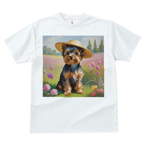 [NV[eA TVc  j[NfUCfB[X t@  t vg lJWA 킢 lԗp Mtg I ҏ΍ Xq [NV[eA   