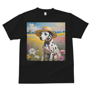 _VA TVc  j[NfUCfB[X t@  t vg lJWA 킢 lԗp Mtg I ҏ΍ Xq _VA  