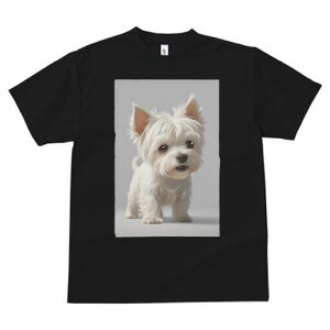 EGXgnChzCgeA TVc  j[NfUCfB[X t@  t vg lJWA 킢 lԗp Mtg I ҏ΍ EGXgnChz