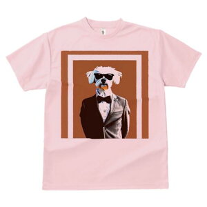 }`[Y TVc  j[NfUCfB[X t@  t vg lJWA 킢 lԗp Mtg I ҏ΍ X[c }`[Y lN^C TOX