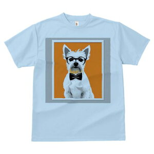 EGXgnChzCgeA TVc  j[NfUCY LbY t@  t vg lJWA 킢 lԗp Mtg I ҏ΍ Kl EGXgn