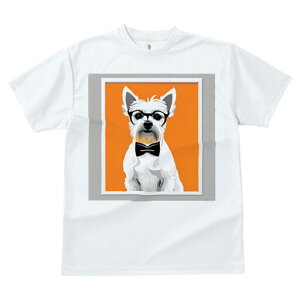 EGXgnChzCgeA TVc  j[NfUCfB[X t@  t vg lJWA 킢 lԗp Mtg I ҏ΍ Kl EGXgnC