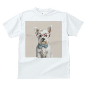 EGXgnChzCgeA TVc  j[NfUCfB[X t@  t vg lJWA 킢 lԗp Mtg I ҏ΍ Kl EGXgnC