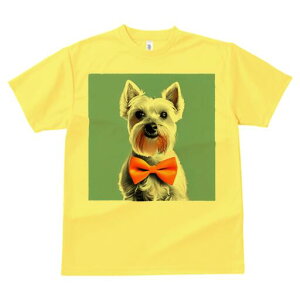 ~j`AViEU[ TVc  j[NfUCfB[X t@  t vg lJWA 킢 lԗp Mtg I ҏ΍ lN^C ~j`AViEU