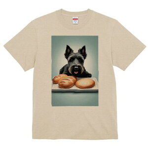 XReBbVeA TVc  j[NfUCfB[X t@  t vg lJWA 킢 lԗp Mtg I ҏ΍ p XReBbVeA