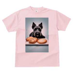 XReBbVeA TVc  j[NfUCfB[X t@  t vg lJWA 킢 lԗp Mtg I ҏ΍ p XReBbVeA