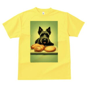 XReBbVeA TVc  j[NfUCfB[X t@  t vg lJWA 킢 lԗp Mtg I ҏ΍ p XReBbVeA