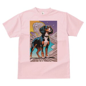 LoALO`[YXpjG TVc  j[NfUCfB[X t@  t vg lJWA 킢 lԗp Mtg I ҏ΍  LoAL